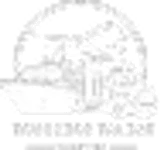 Truckers Talent Air logo
