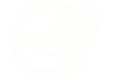 AirlinePilotCentral.com logo