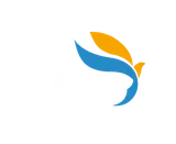 Bird Intérim logo