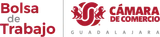 Bolsa de Trabajo | Cámara de Comercio Guadalajara logo