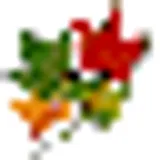 Canadian Forests Website logo Canadian Forests Website logo
