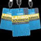 CCNMA: Latino Journalists of California logo