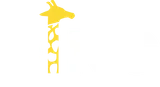 DING logo DING logo