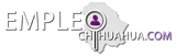 EmpleoChihuahua.com logo