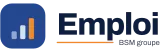 Emploi BSM groupe logo Emploi BSM groupe logo
