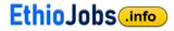 Ethiojobs logo
