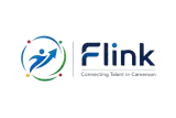 FLINK logo FLINK logo