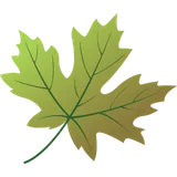 Geauga County Maple Leaf logo