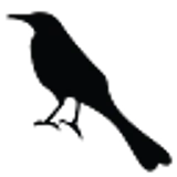 Grackle HQ logo Grackle HQ logo