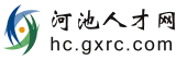 河池人才网 logo