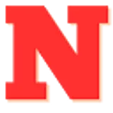 NewNews.ma logo