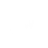 New Wine logo New Wine logo