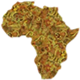 NGO Jobs in Africa logo NGO Jobs in Africa logo