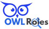 OWL ROLES logo