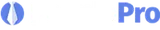 PeoplePro logo