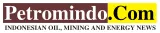 Petromindo logo Petromindo logo