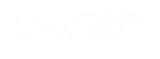 viecTOP logo