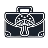 Work in Psychedelics logo Work in Psychedelics logo