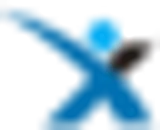 Xyntara logo