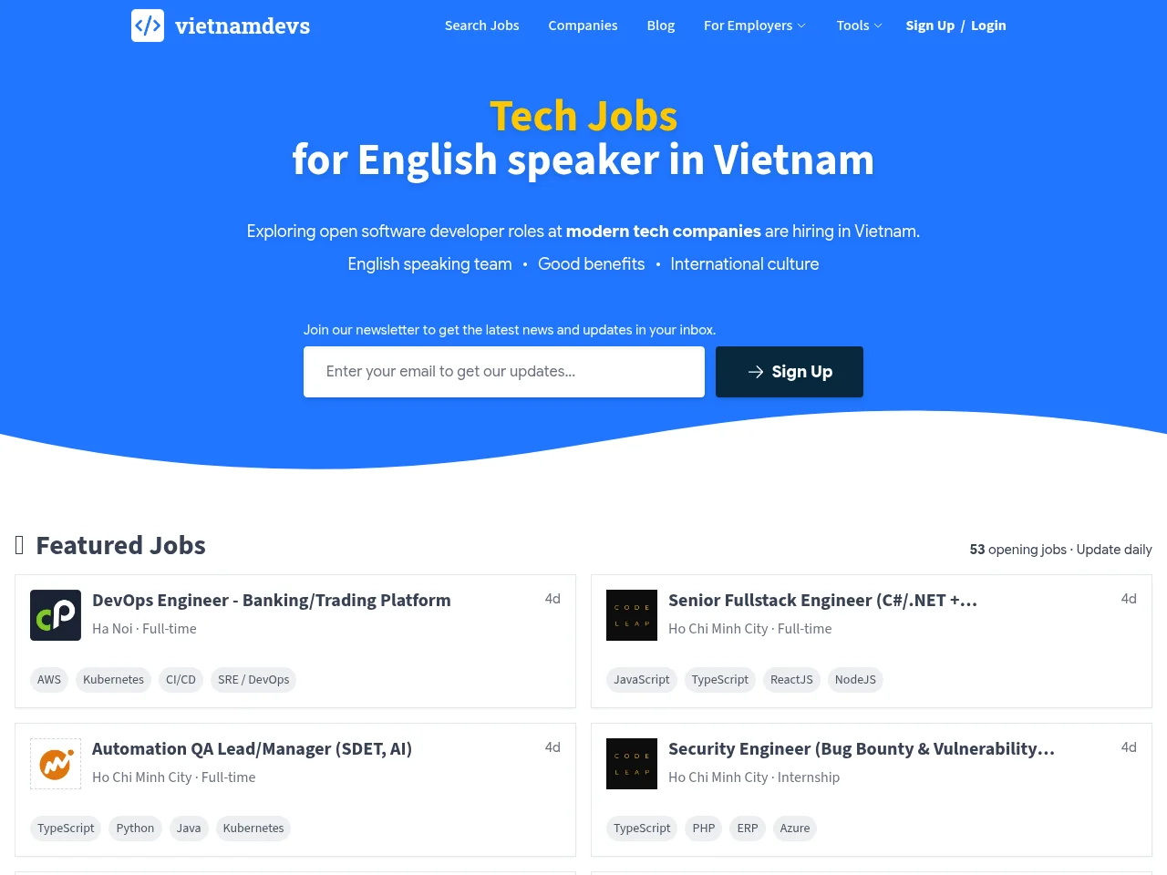 VietnamDevs screenshot VietnamDevs website screenshot