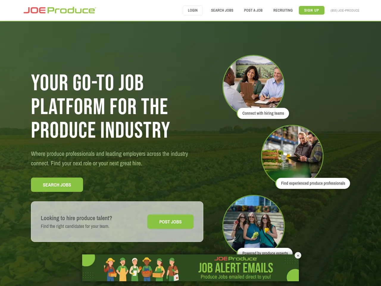 Joe Produce website screenshot