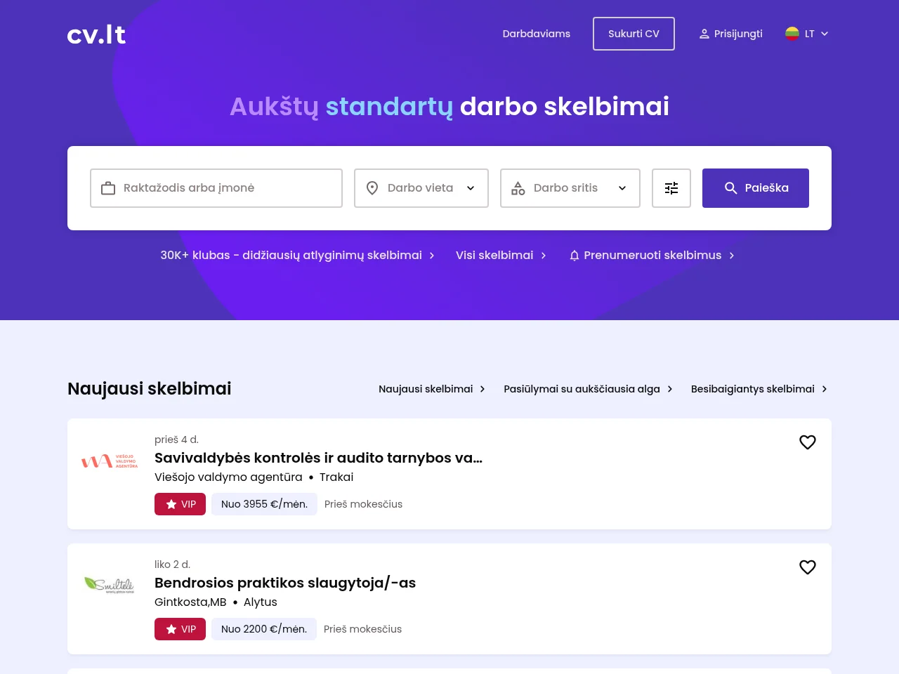 cv website screenshot