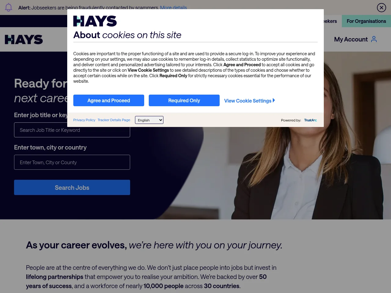 Hays Ireland screenshot Hays Ireland website screenshot