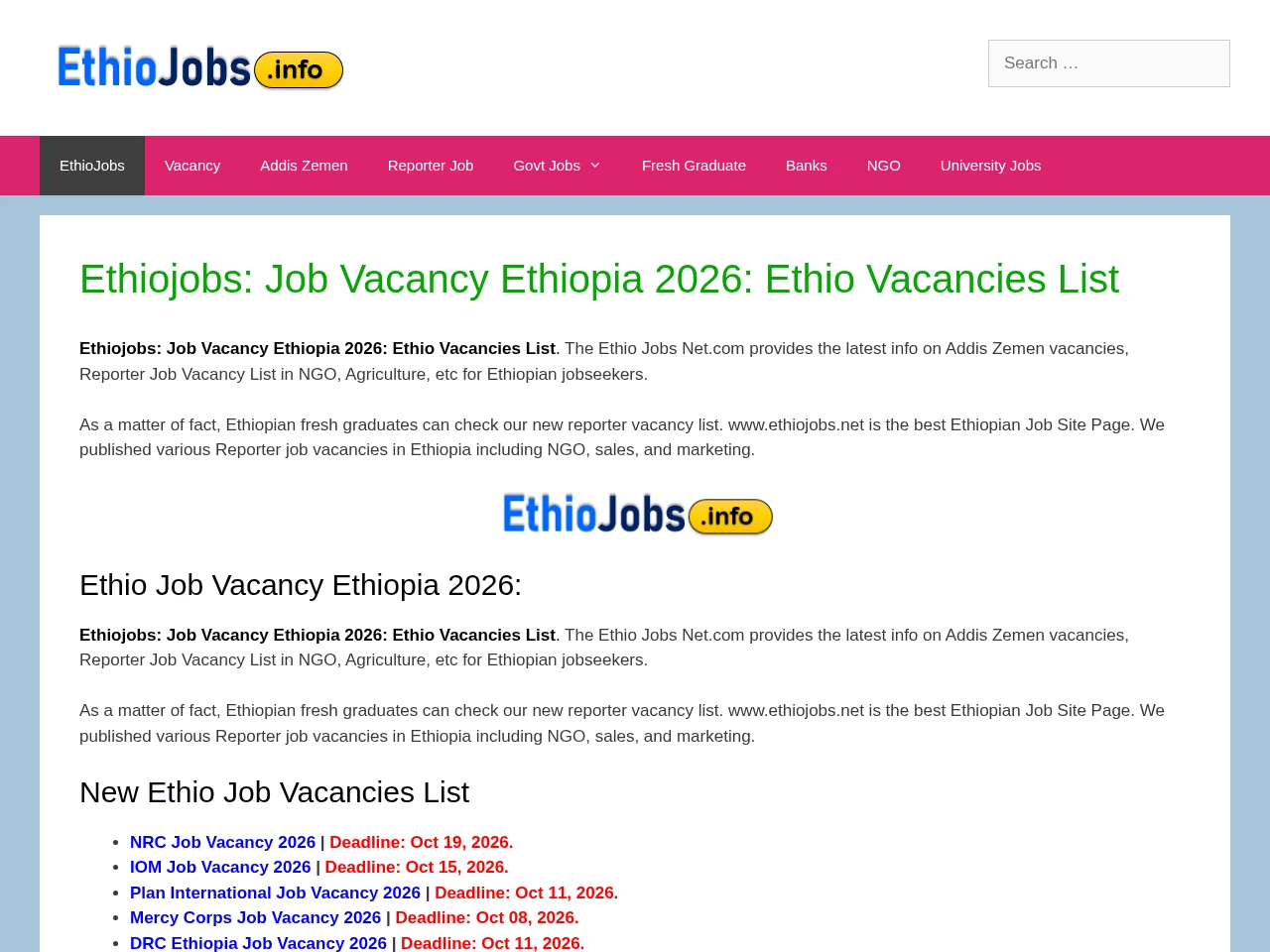 Ethiojobs screenshot Ethiojobs website screenshot