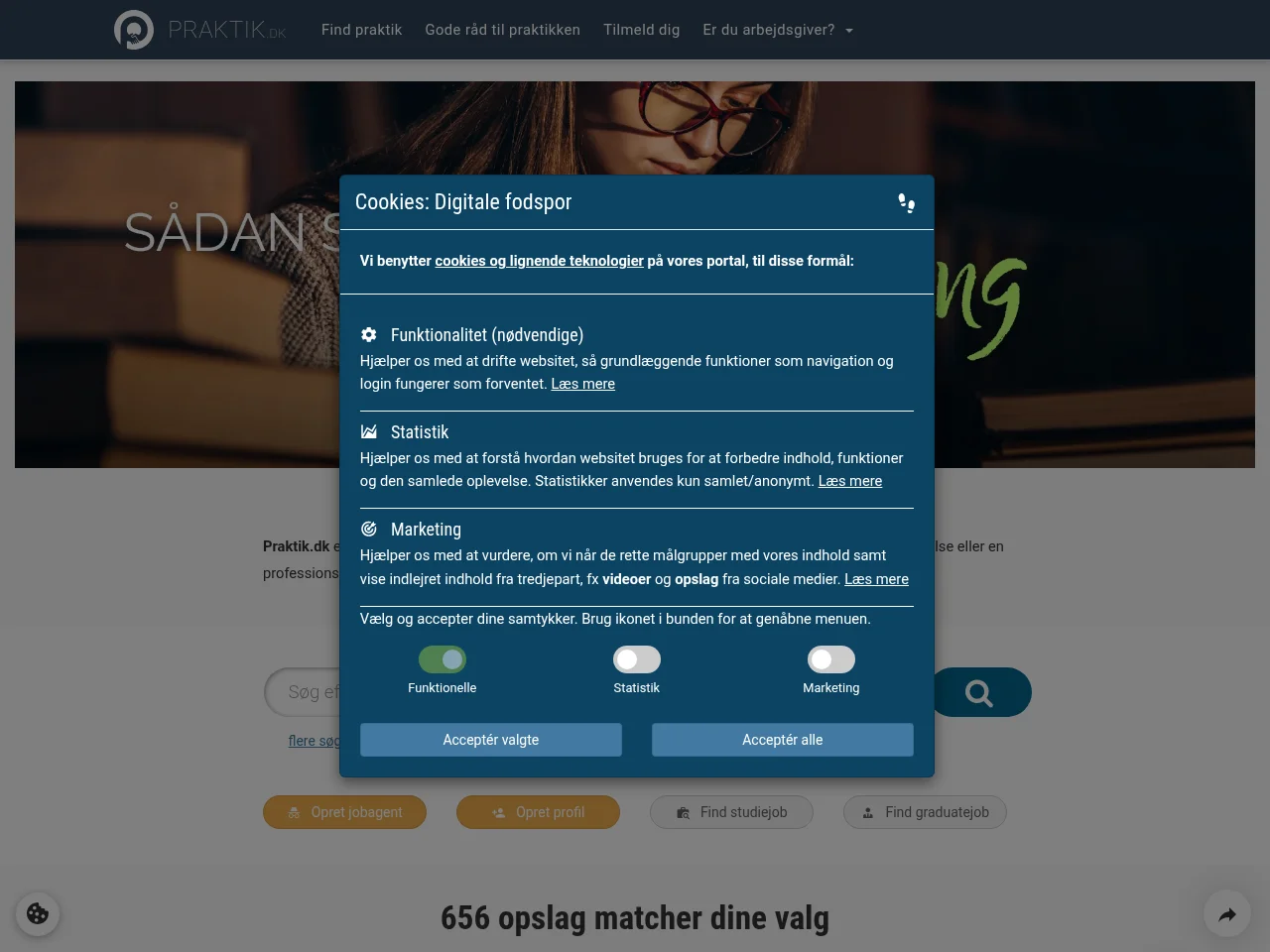 Praktik website screenshot