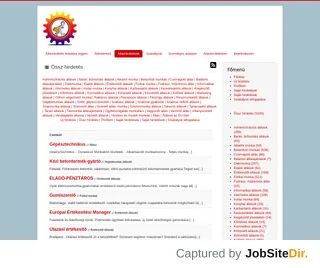 Álláshirdetések platform preview Álláshirdetések platform preview