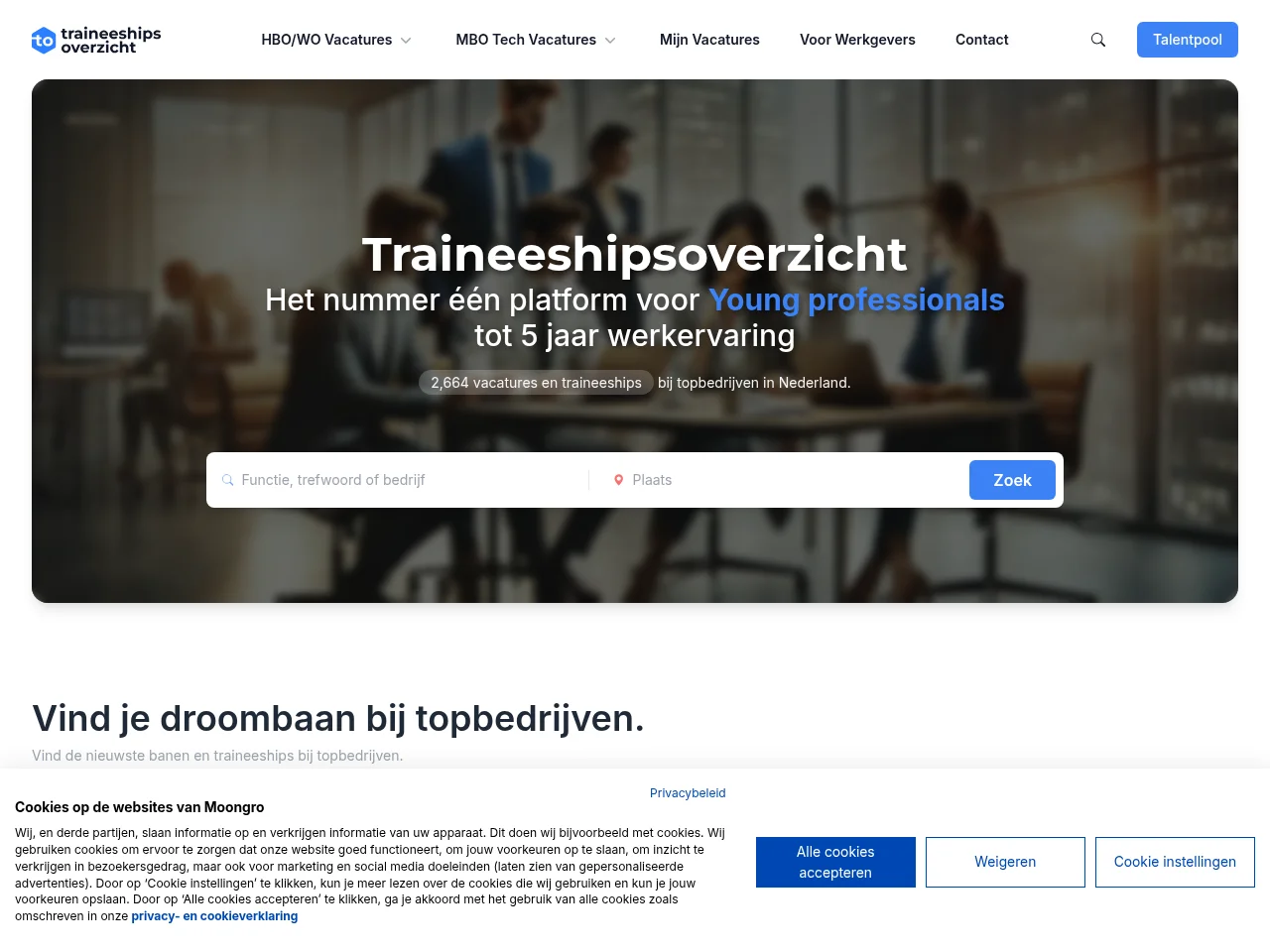 Traineeshipsoverzicht website screenshot