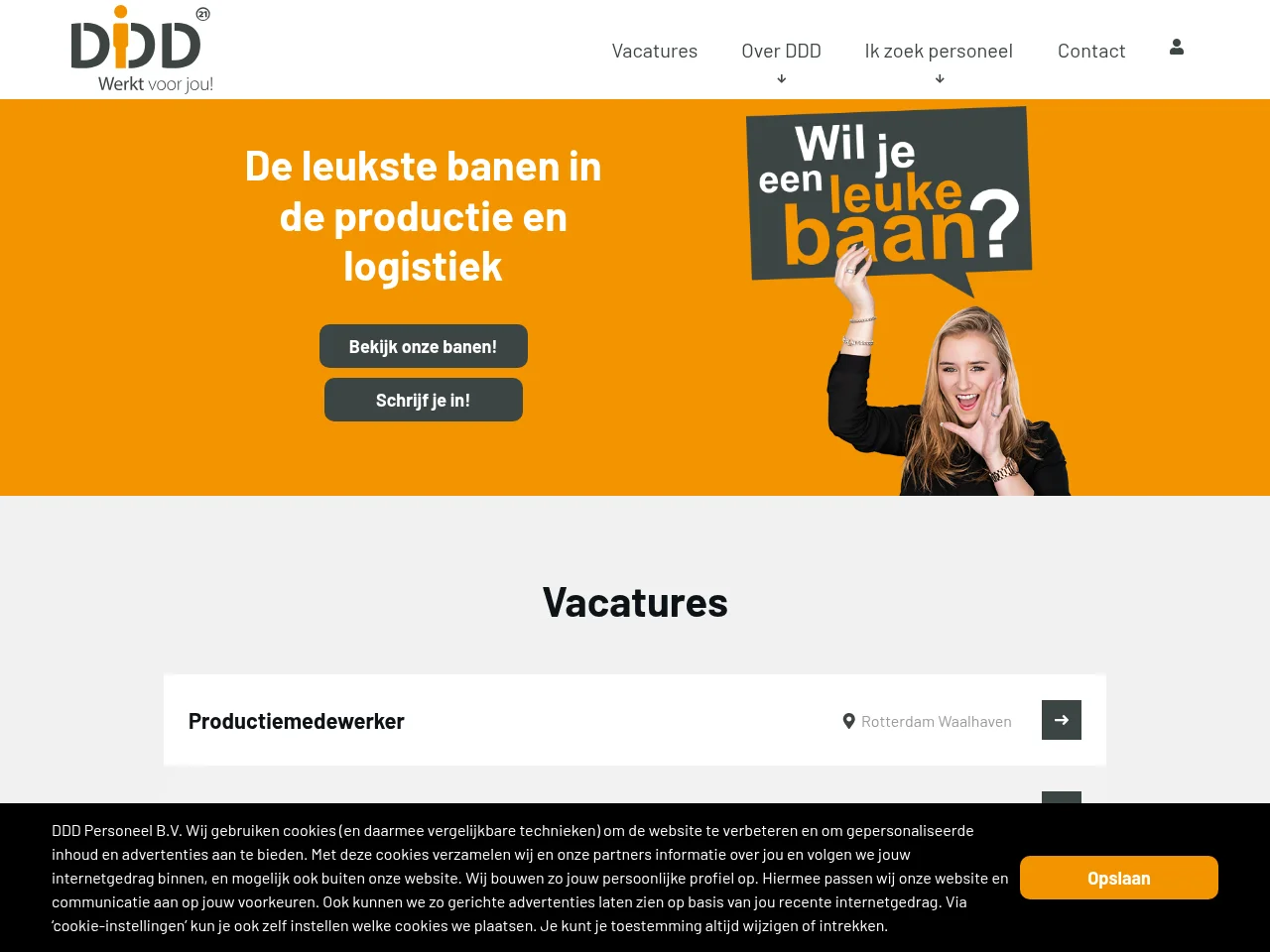 DDD Personeel screenshot DDD Personeel website screenshot