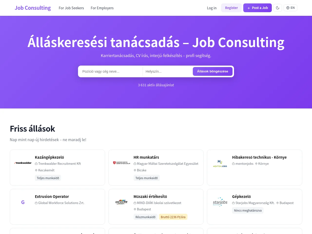 Job Consulting website screenshot
