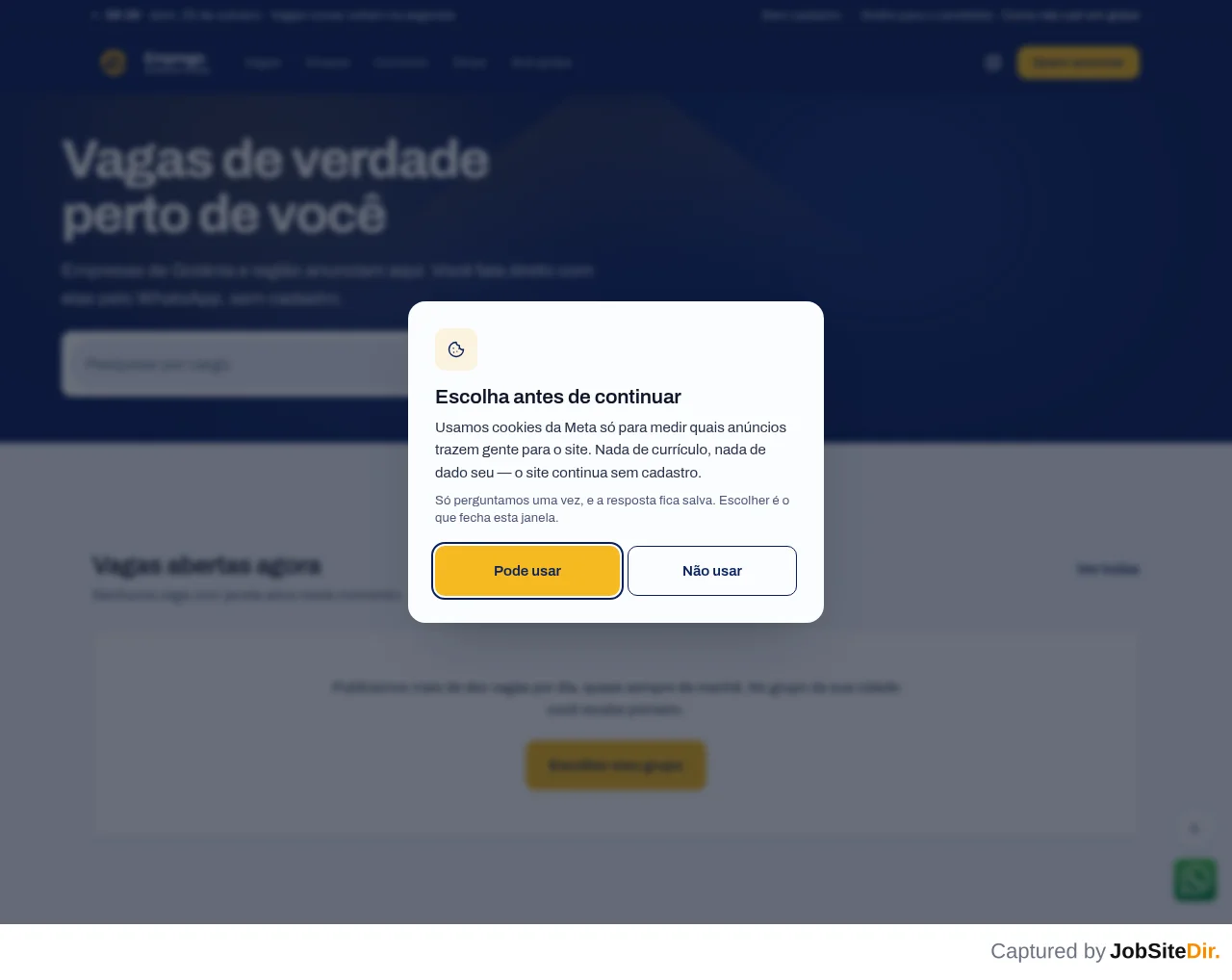 Emprego Goiânia Goiás screenshot Emprego Goiânia Goiás website screenshot
