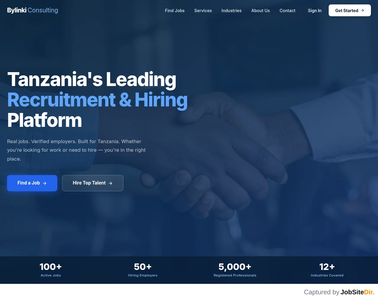 Bylinki Consulting website screenshot