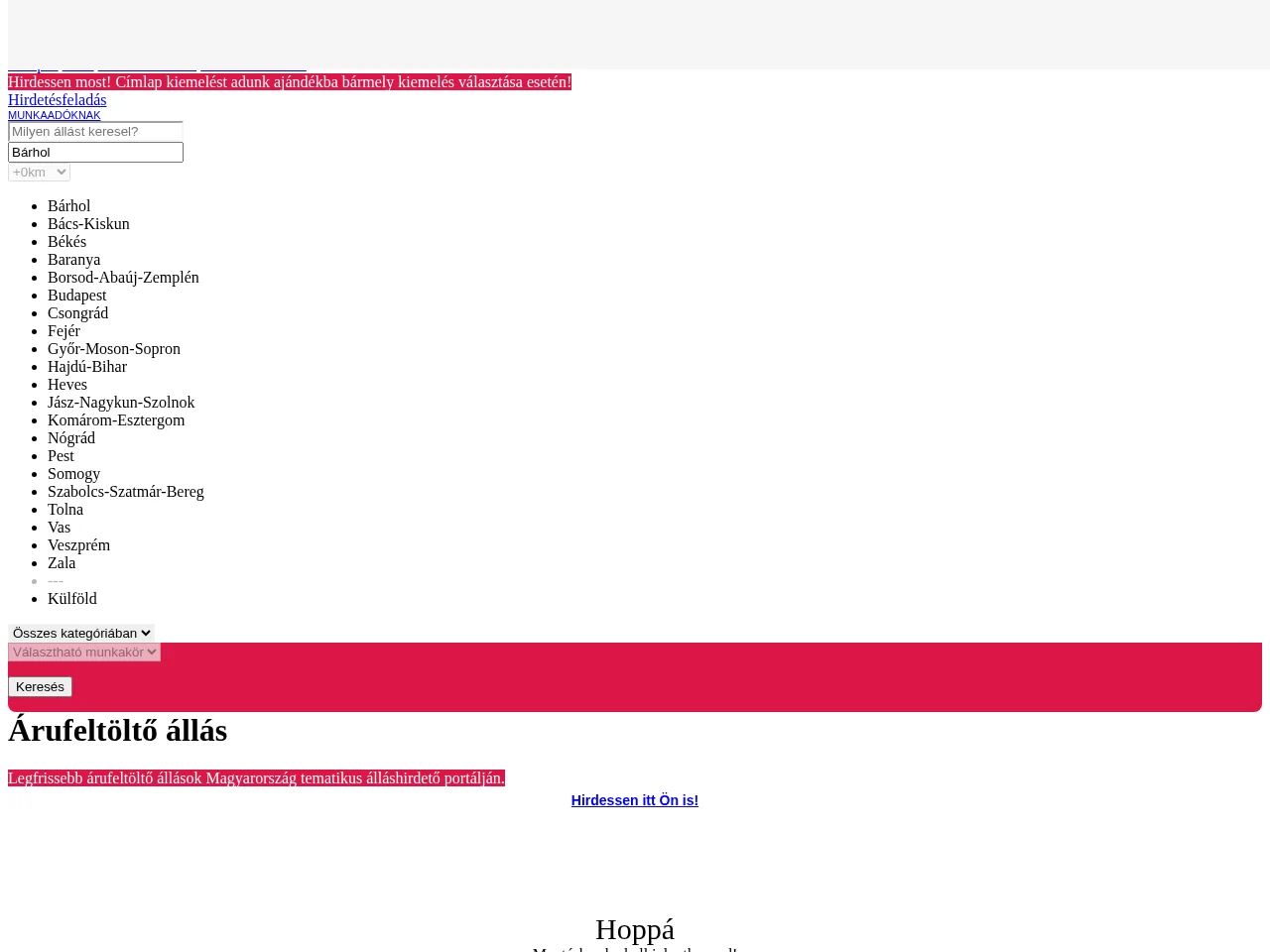 Árufeltöltőállás screenshot Árufeltöltőállás website screenshot