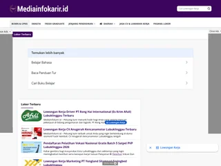 Mediainfokarir screenshot preview