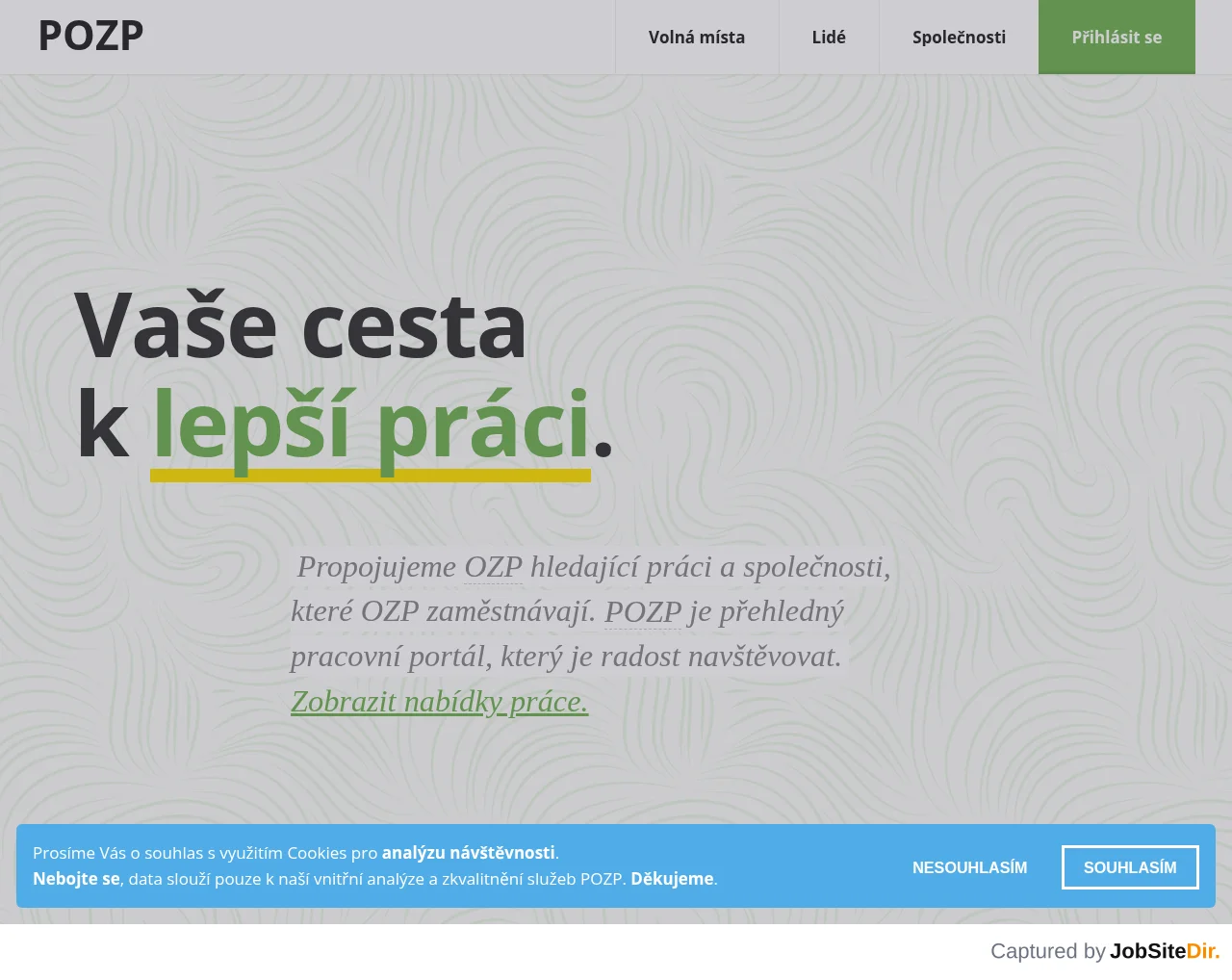 POZP website screenshot