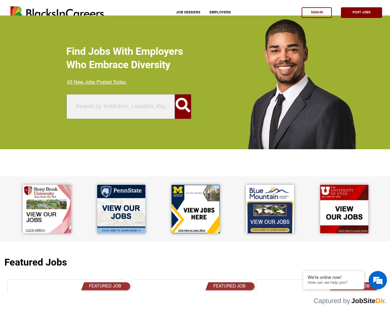 BlacksInCareers website screenshot
