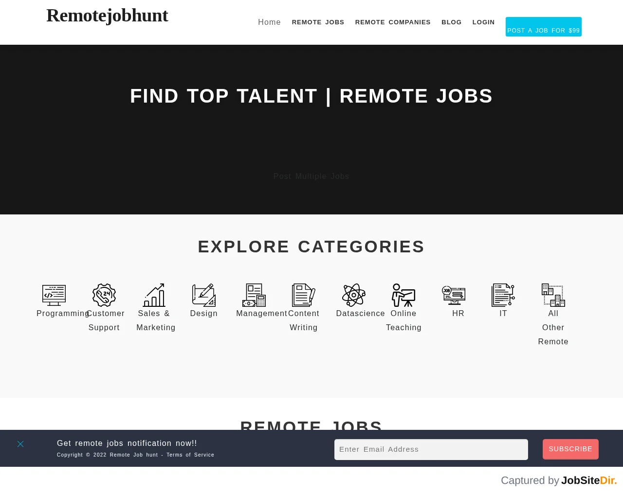 Remote Job Hunt website screenshot