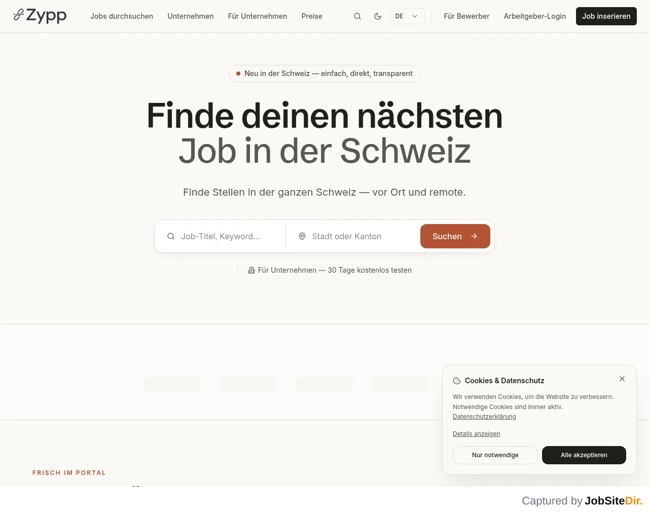 Zypp website screenshot