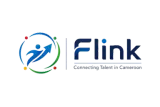 FLINK logo