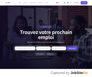 FLINK platform preview FLINK platform preview