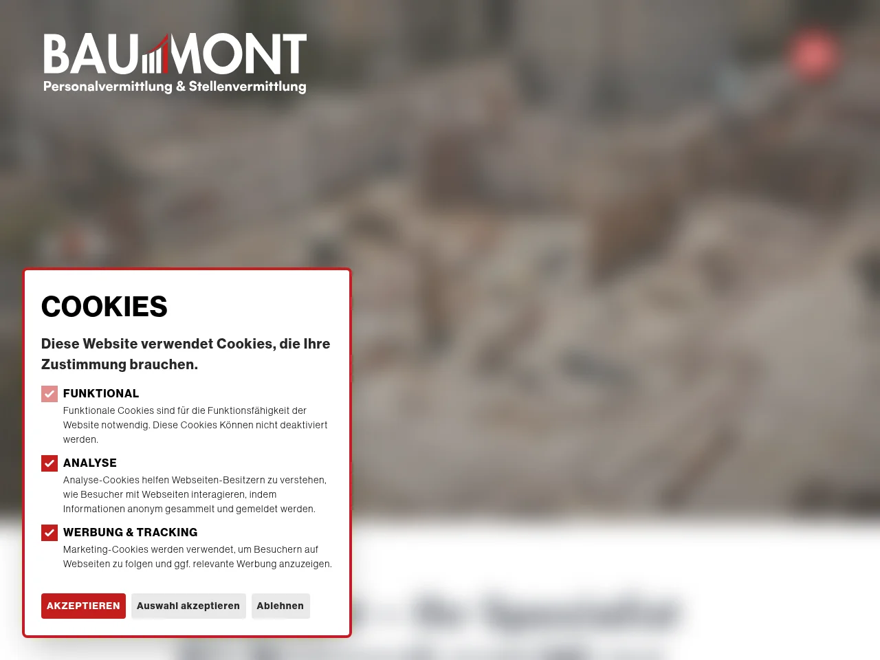Baumont AG screenshot Baumont AG website screenshot
