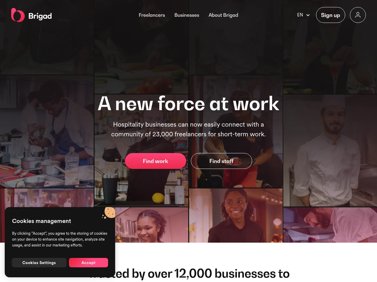 Brigad website screenshot