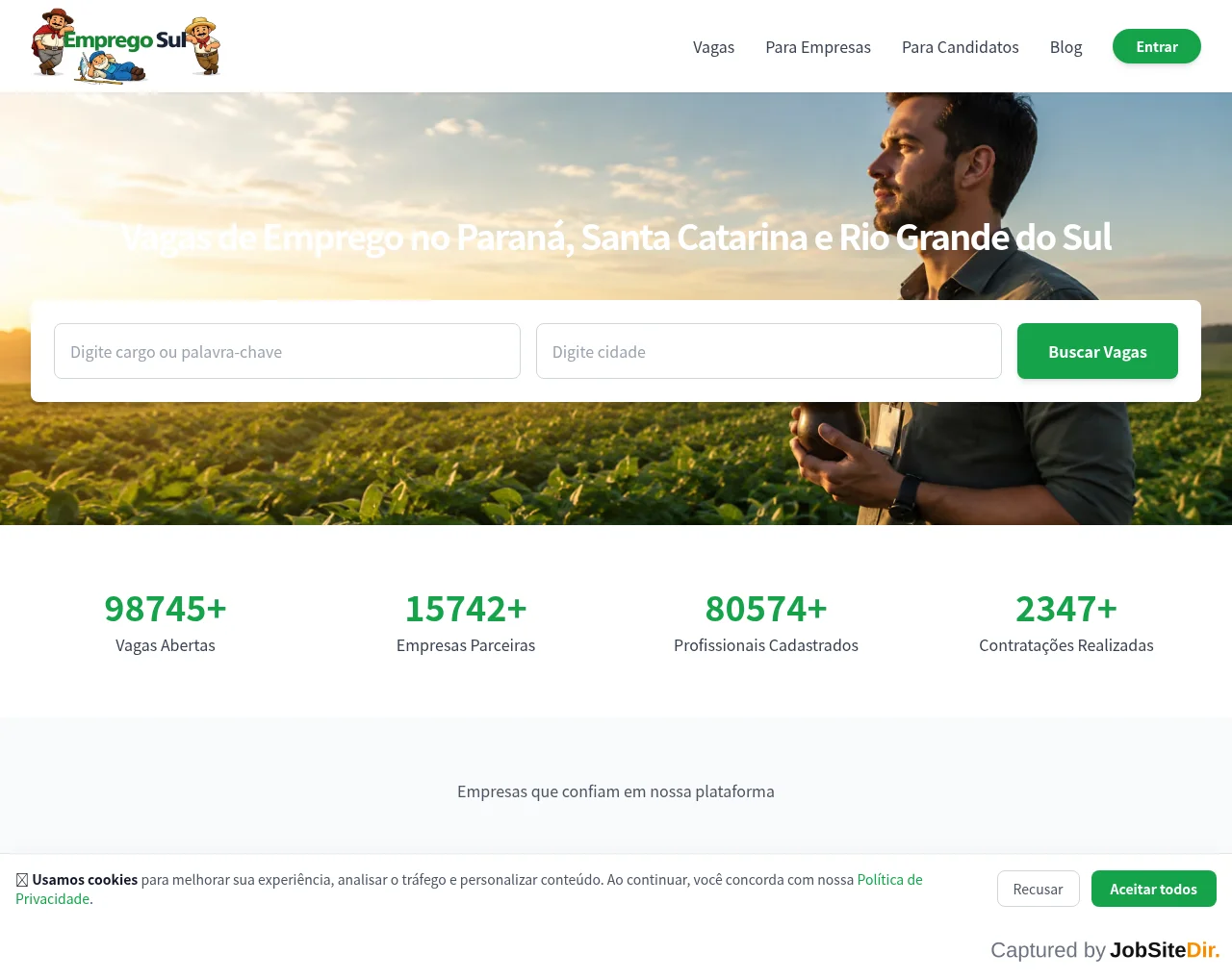 Emprego Sul website screenshot