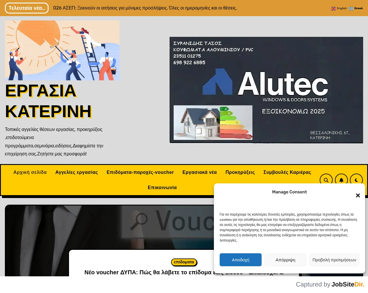 Ergasia Katerini screenshot Ergasia Katerini website screenshot