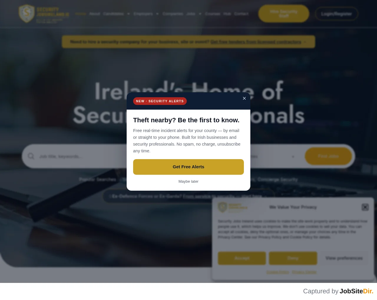 Security Jobs Ireland screenshot Security Jobs Ireland website screenshot