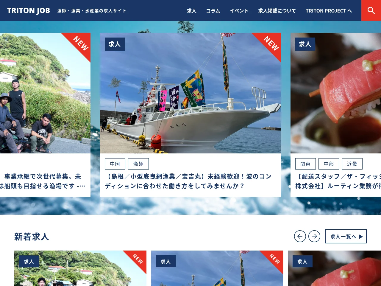 TRITON JOB website screenshot