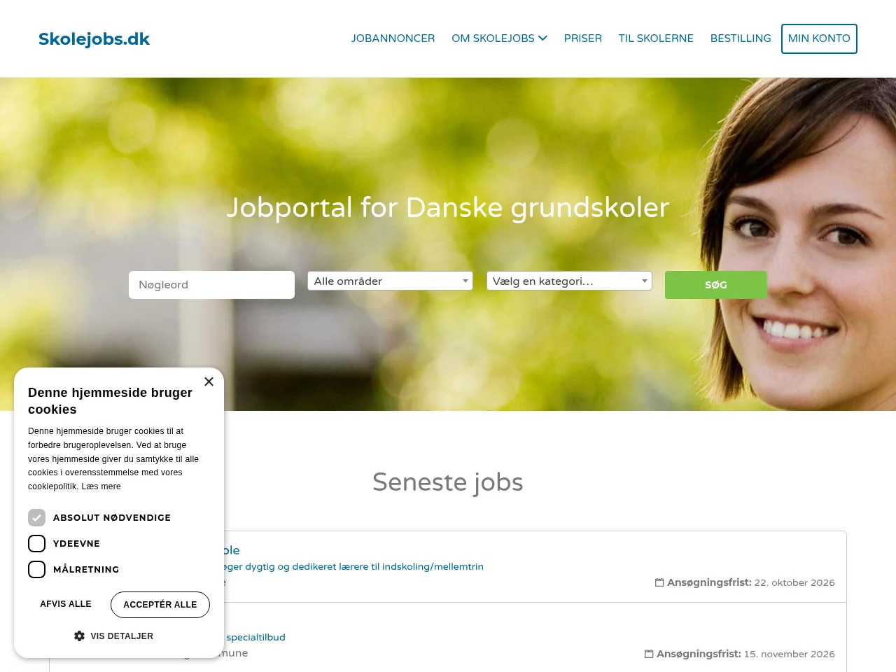 Skolejobs screenshot Skolejobs website screenshot